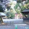 勝俣部長の「ため息」１４５６････いろいろ　面白い