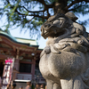 今戸神社