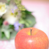「奇跡のりんご」たべました、木村秋則さんが作った無農薬無肥料のリンゴ