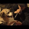 今日の動画。 - 七尾旅人 "犬たちのためのコンサート" / TAVITO NANAO "Concert for Dogs" 2018/12/11