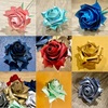 卒業記念に折り紙のバラを〜佐藤ローズ大放出〜／Origami roses for graduation