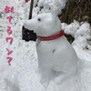 明けましておめでとう！やる事無いから雪遊びだ！＼(^o^)／