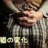 最近の老猫の話と私の想い。