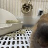 暗闇からナゾの音