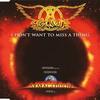 「ミス・ア・シング（I Don't Want to Miss a Thing）」エアロスミス（Aerosmith）（1998）