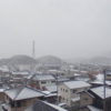 春の準備はされていた