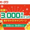 【エントリー不要！】オークワ総額3000万ポイントあげちゃうキャンペーン！