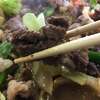 馬肉ってこんなに美味しいの？？お取り寄せをするほどお気に入り！新鮮馬肉鉄板焼き【尾形・青森旅行】