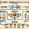５種類の病因『邪正の盛衰、陰陽の失調、気血津液の失調、経絡の病機、臓腑の病機』﻿