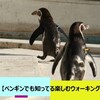 【老若男女必見！】ペンギンでも知ってる楽しむウォーキング！