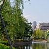 水辺の風景