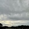 金と票に色はついていない