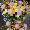 アップアップガールズ(仮)定期公演123回 古川小夏生誕祭〜私が主役！！！〜(2017/6/25)前編
