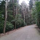 気になる物を紹介するブログ