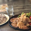 【長野県】飯田 ジンジャーポーク定食 @三連蔵