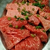 【四谷】緊急事態宣言（ノンアル）中の『焼肉ヒロミヤ四谷4号店』に突入…🍖