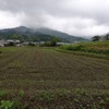 明日香村パワーいただく旅、雨天決行（１）