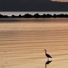 玖島崎夕景（２）