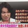 豊田真由子議員～あんなのはいっぱいいる