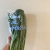 小松菜の味と栄養を冷凍保存で60%アップ！