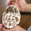 夏休み子ども手芸：布小物入れ作りました。