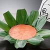 富山県職員による自作YouTubeチャンネル「DIVE！とやま」（2024年10月1日開設）