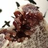 「自分専用」土産に買った大阪十三【喜八州総本舗】のきんつばが美味かった件