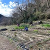 里山ボラ　～のんびり冬の里山づくり～