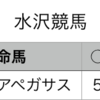 地方競馬予想　2019年12月31日（火）