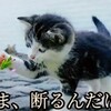 事故物件になっても愛されていると起きる事