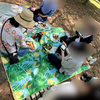 6月のてくてく散歩
