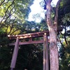 【東京観光】スカイツリーと神社仏閣(明治神宮、浅草寺、日枝神社）