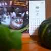 ハロウィンこそ猫の画像加工で遊ぶべし！【canva】
