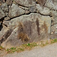 中津城　扇形の石垣  椎木門