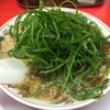 【今週のラーメン１８７２】 京都北白川 魁力屋 （東京・五反田） 特製醤油九条ネギラーメン