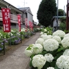 日吉八王子神社にアジサイを見に行ってきました