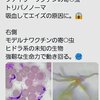 コロナワクチンを打つと血液中に寄生虫やヒドラが出来るらしい