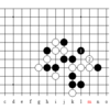 勝敗を分かつ一手の攻防～幻の四追い～