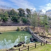 小野洞砂防公園の池群（愛知県犬山）