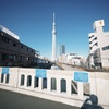 2024年を振り返ろうの巻