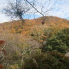 二上山はまだ紅葉中（奈良県）（11/23）