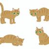 茶トラ猫のイラスト