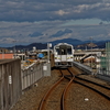 岡山旅行～矢掛町散歩。本陣にいたすごい猫～