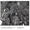 文豪スイング　壺井栄『二十四の瞳』
