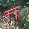 まだ病院。。(￣(工)￣)