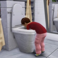 子供のトイレ遊び禁止MOD