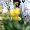 春色の風❣️ なるはちゃん その4 ─ 北陸モデルコレクション 2023.3.19 富山県中央植物園 ─