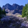 さくら 2026 の 4