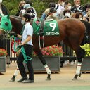 だび競馬予想