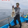 4/20（日）南伊勢の五ケ所湾のティップランの釣果速報